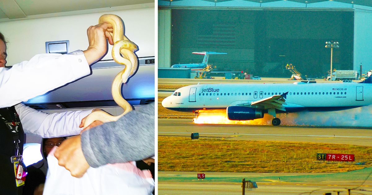 Travelers Should Change Plans If Flying With These 20 Airlines