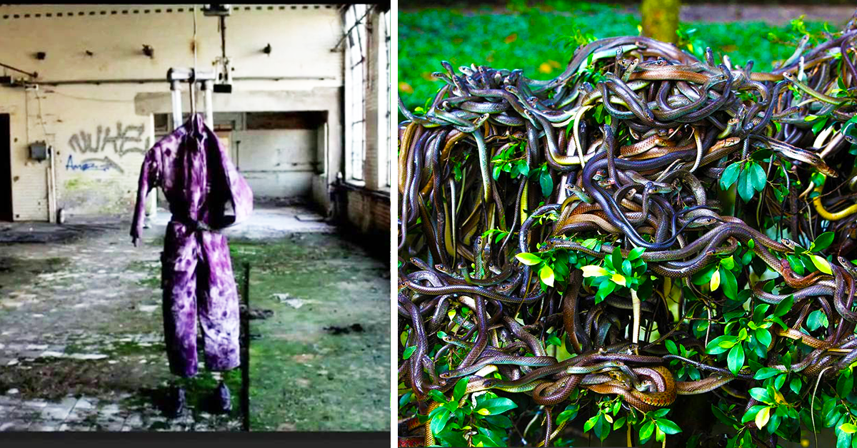 10 Mysterious Places Where Tourists Are Forbidden (10 We're Too Nervous ...
