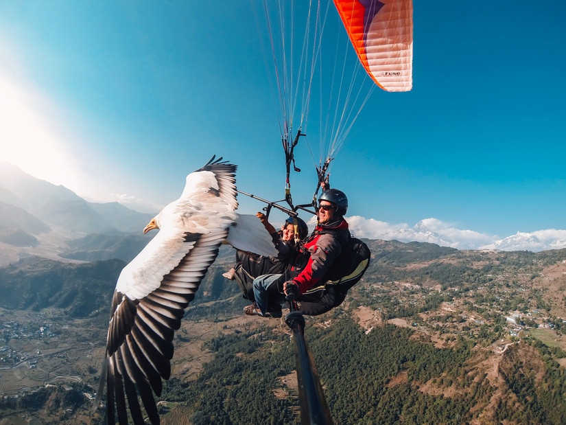 23 Of The Most Incredible GoPro Photos Of 2018