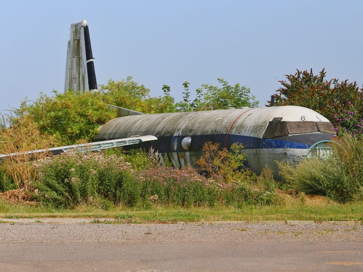 Avion abandonné dans les arbres