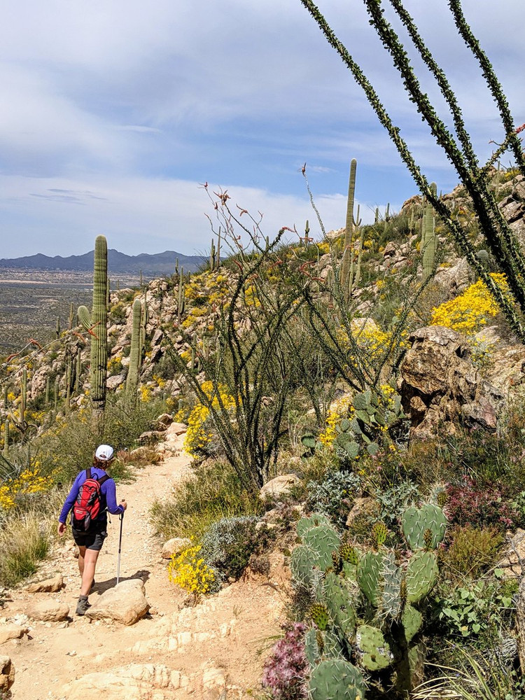 You Don't Have To Leave The U.S For Some Of The Best Places To Visit In ...