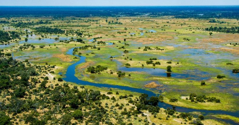 Al Sudd: What To Know Of The Massive Swamp On The Nile That Blocked The ...