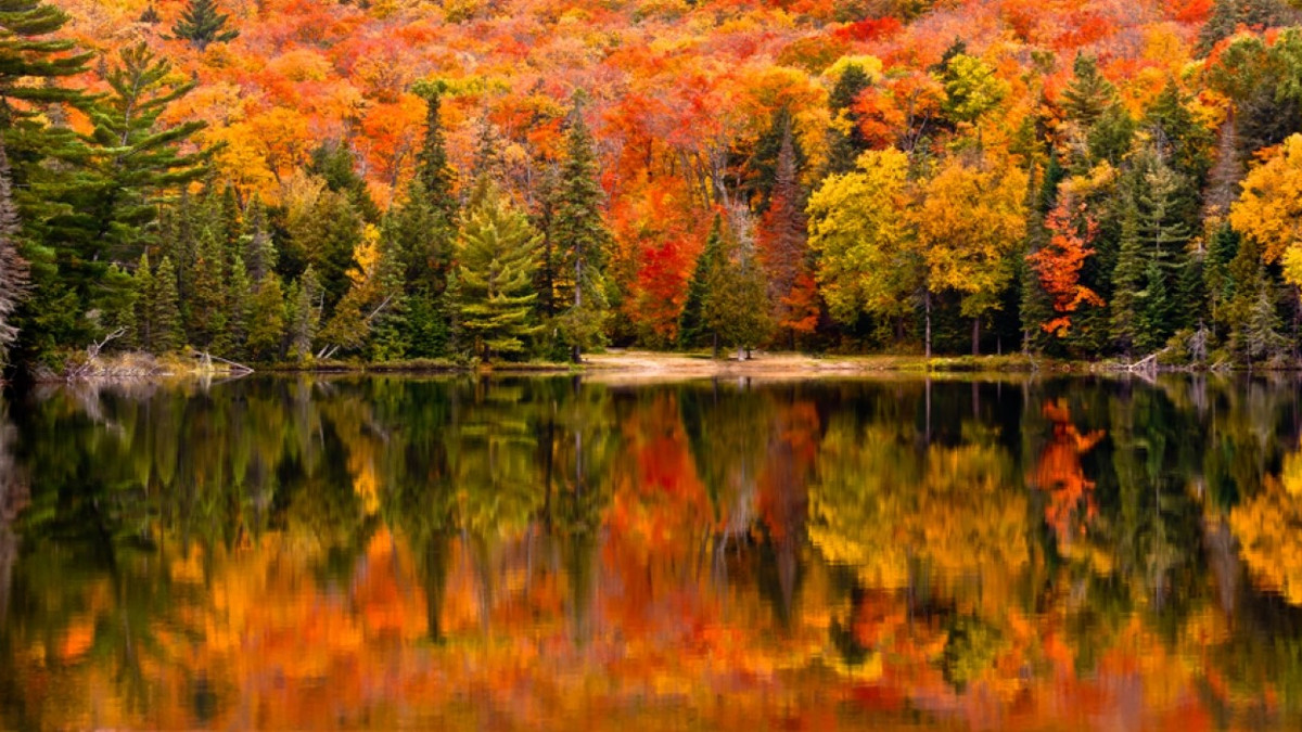 10 Best Hiking Trails In Algonquin Park For Fall Foliage