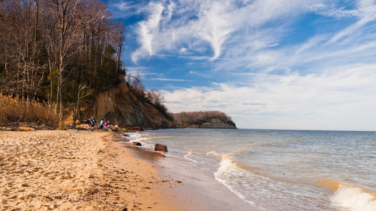 Calvert Cliffs: What To Know About Hiking (& Shark-Tooth-Hunting)