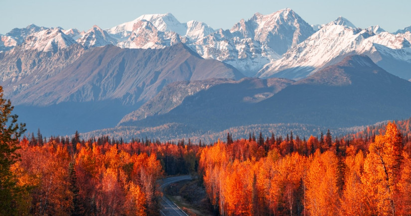 All The Way To Alaska: 10 Best Hikes In Denali National Park