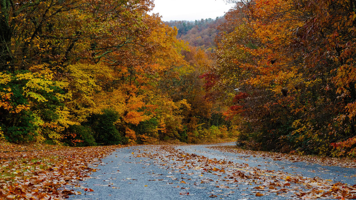 10 Southern US Towns To Watch The Scenery Change To Fall Foliage