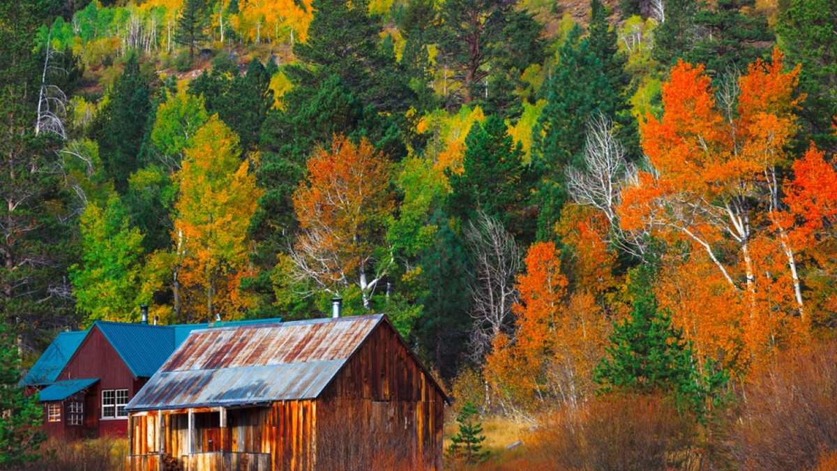 Beautiful Weekend Fall 10 Most Beautiful Fall Foliage Road Trips You Can Take In Autumn