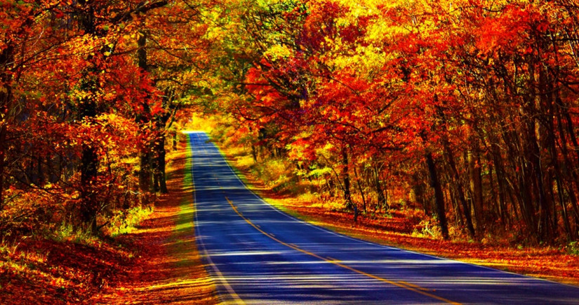 Rainbow roads in the fall on Skyline Drive, Virginia