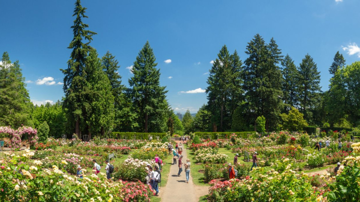 The City Of Roses Is Exploding With Beauty At This Portland Park