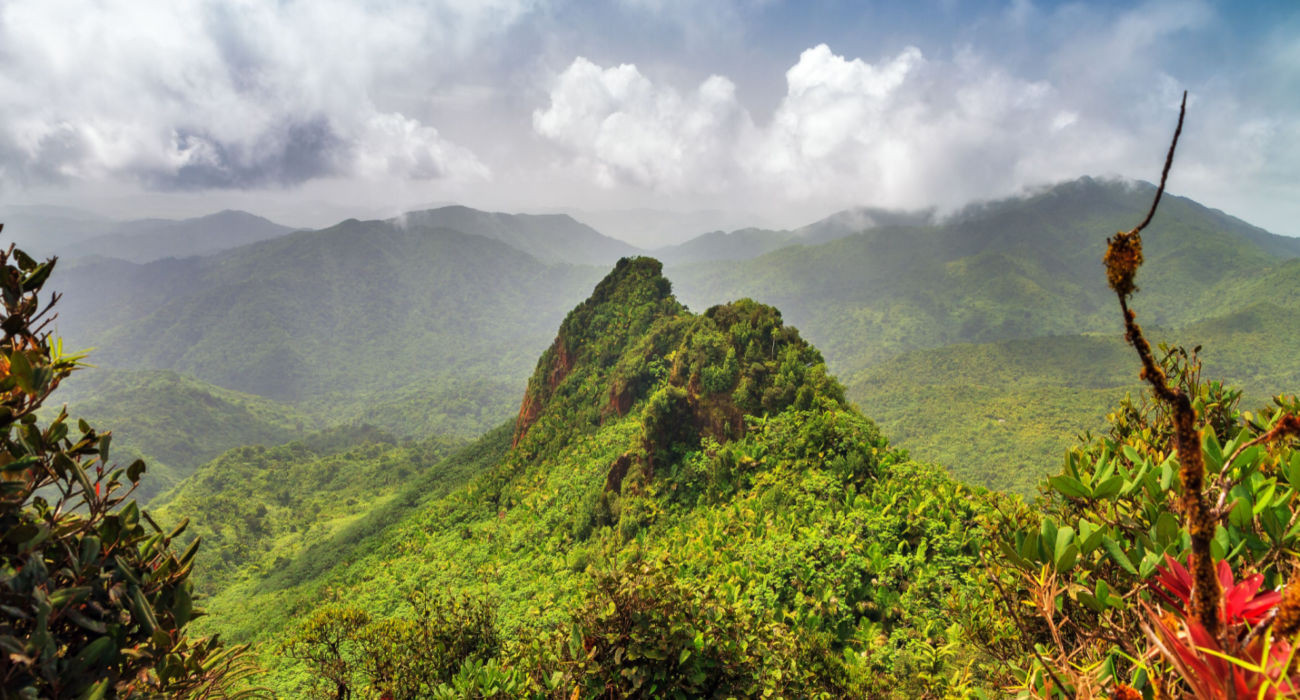 view over the hills in the jungle of the El Yunque national forest