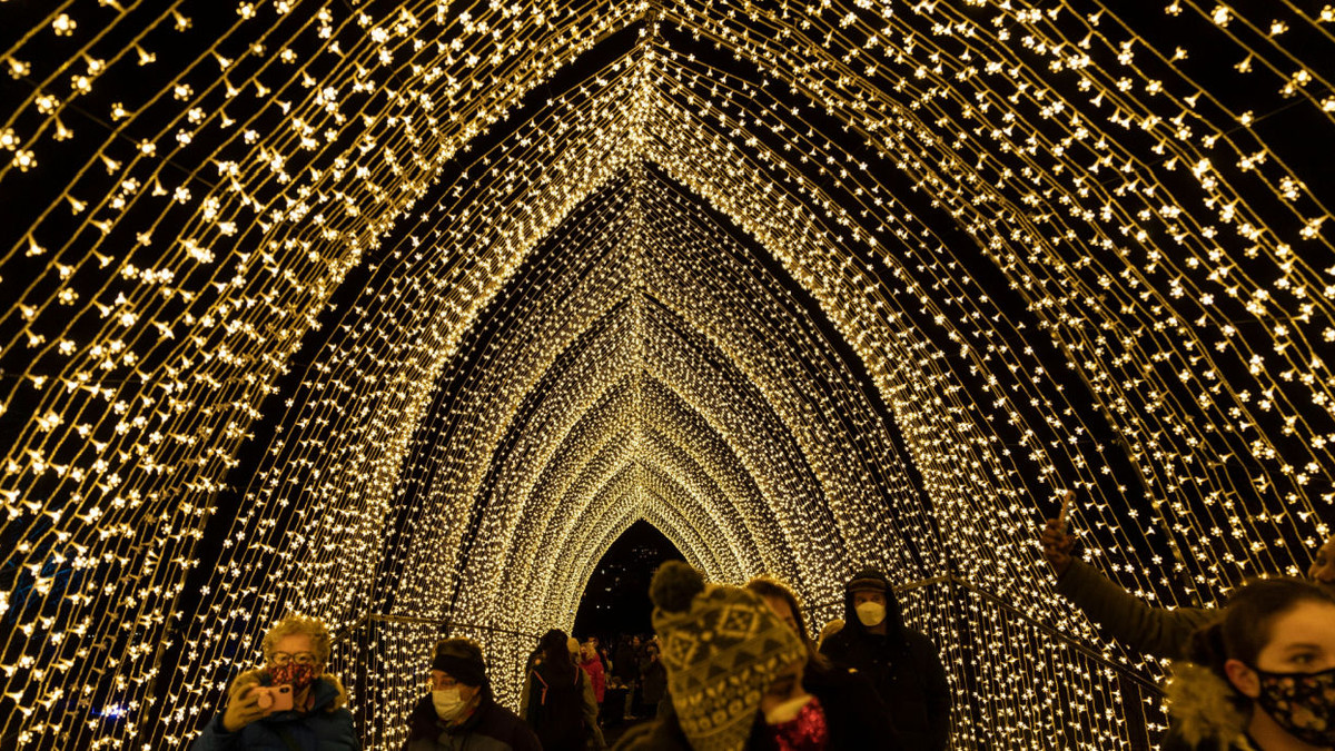 Experience Lightscape & More At The Chicago Botanic Garden