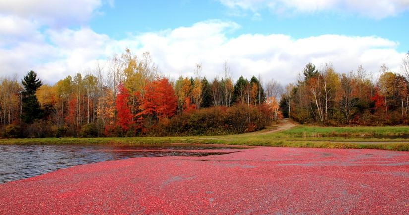 These Five Lakes Are The Prettiest Places In The Adirondacks