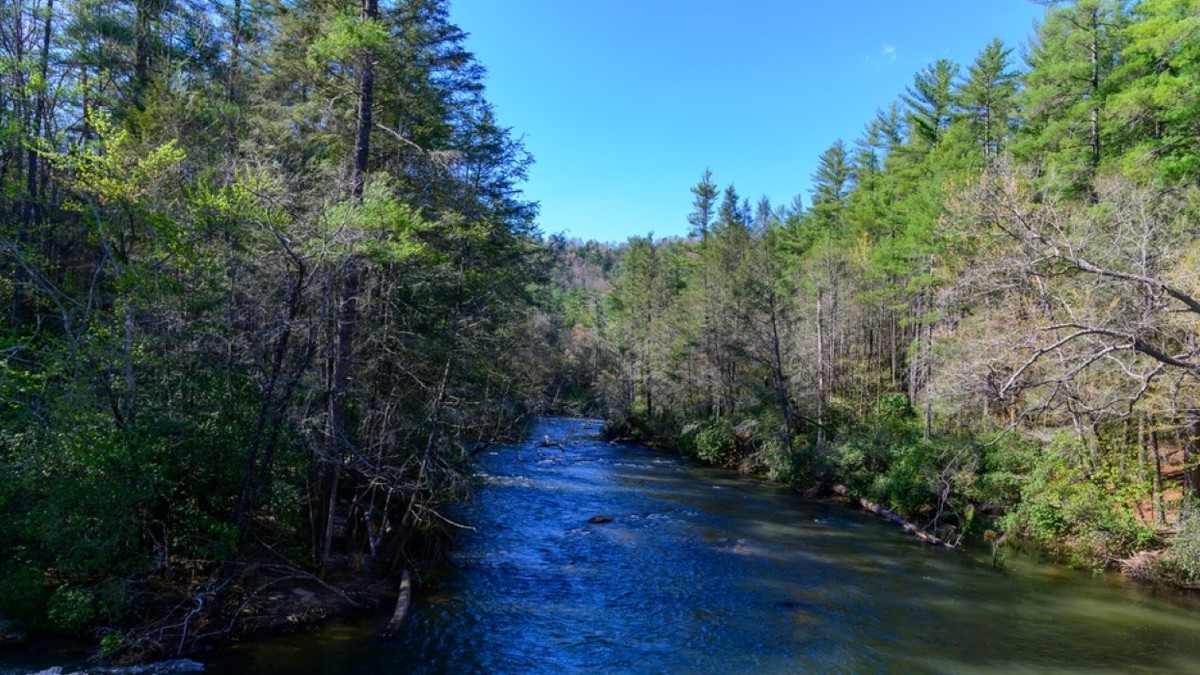 10 Scenic Towns To Visit In Georgia's Blue Ridge Mountains