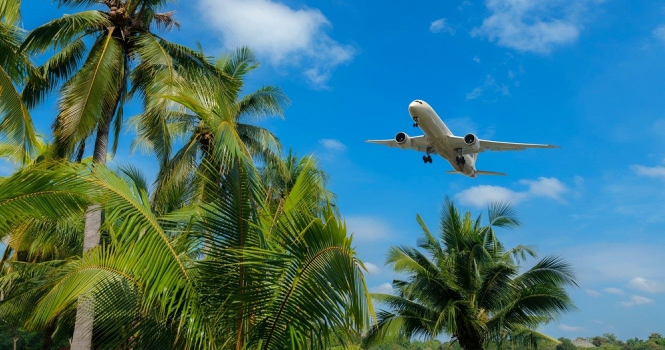 Airplane flying over tropical trees