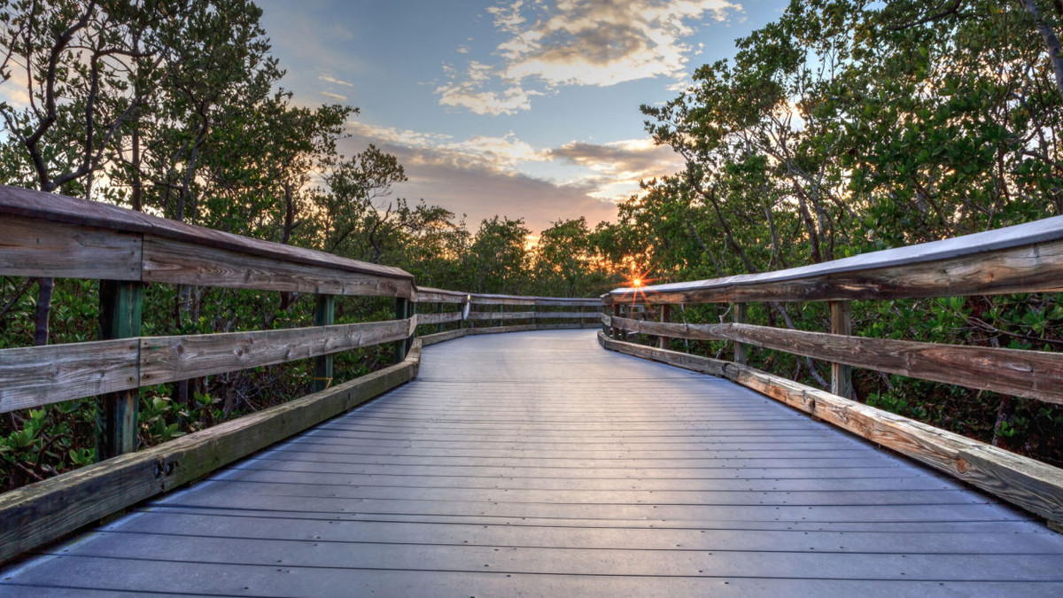 This Secret Naples Beach Is Only A Short Walk Through Stunning Mangroves