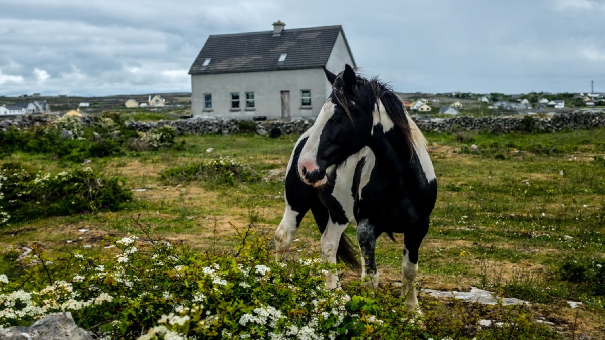 Visiting Inishmore: See Where 'The Banshees Of Inisherin' Took Place