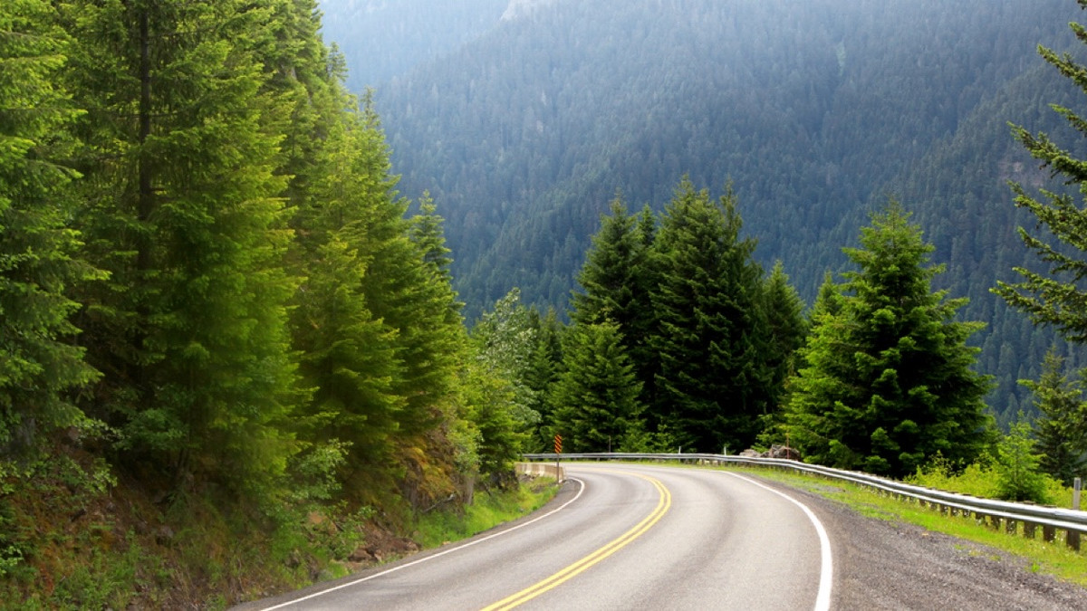 Seattle To San Fran: What To Do During This Epic Road Trip