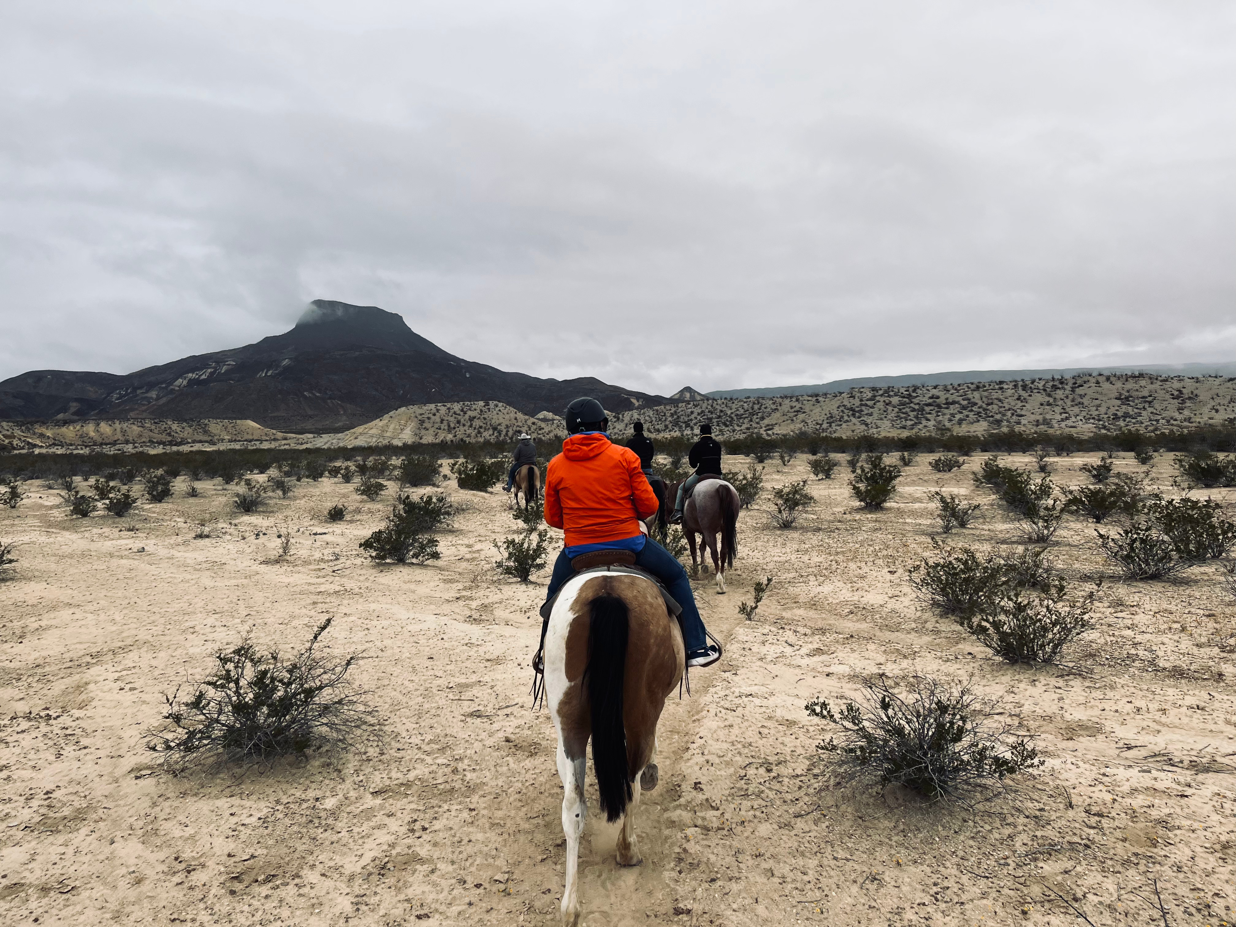 10 Reasons To Visit Lajitas, Texas (Including To See Its Goat Mayor)