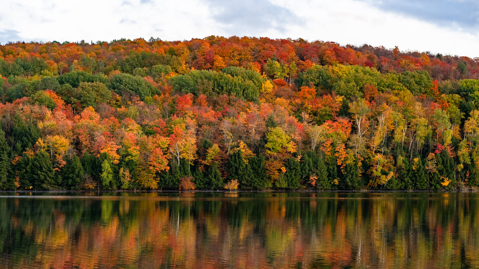 Looking For Fall Colors? Why Experts Say To Skip This Popular Area This ...