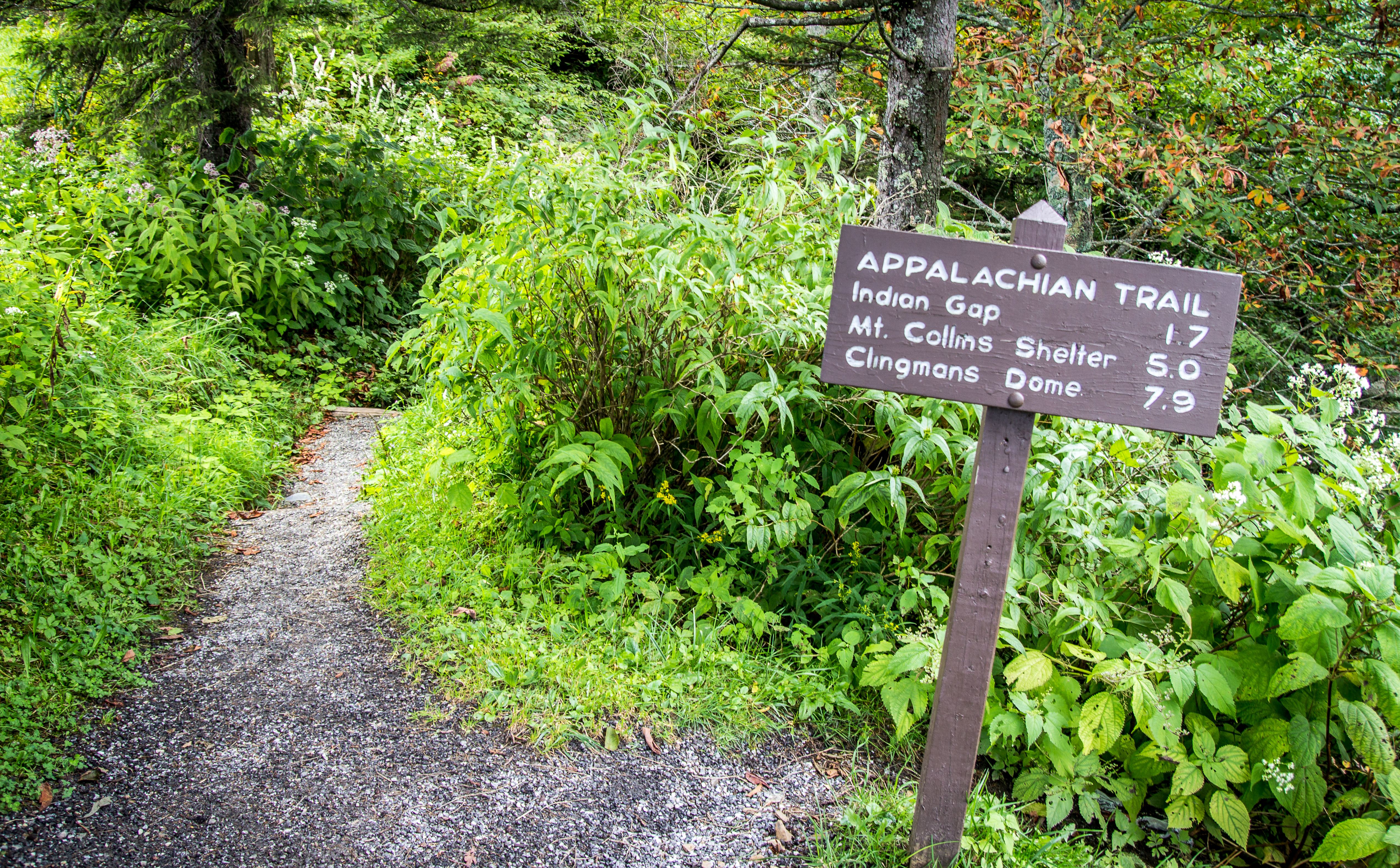 The Appalachian Trail. The Appalachian trail as it approaches Clingmans Dome.