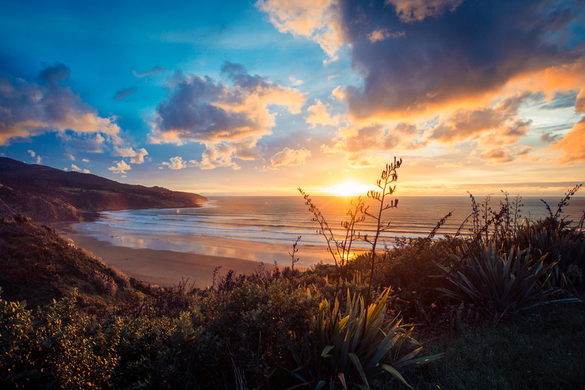 Why Raglan Is Much More Than Just New Zealand's Surfing Mecca