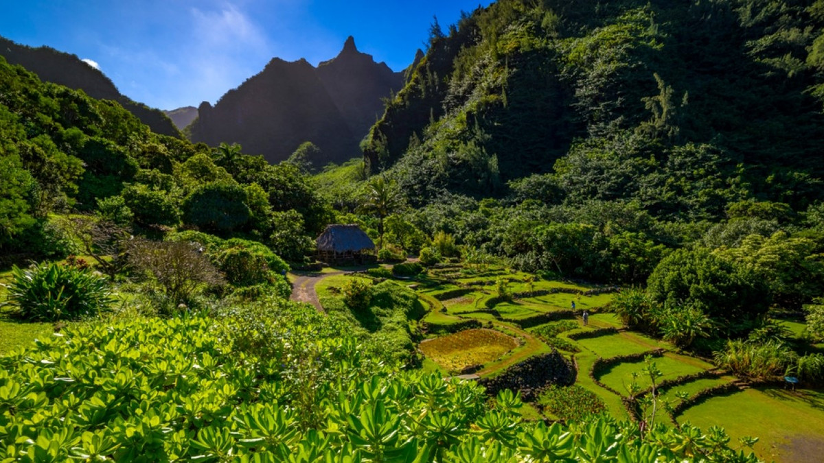 Escape To A Garden Oasis At The Botanical Gardens Of Kauai