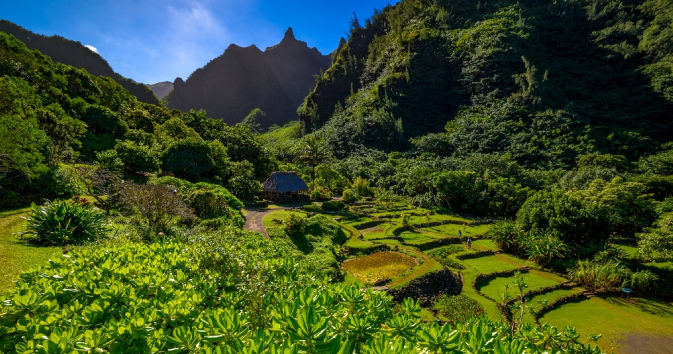 Escape To A Garden Oasis At The Botanical Gardens Of Kauai