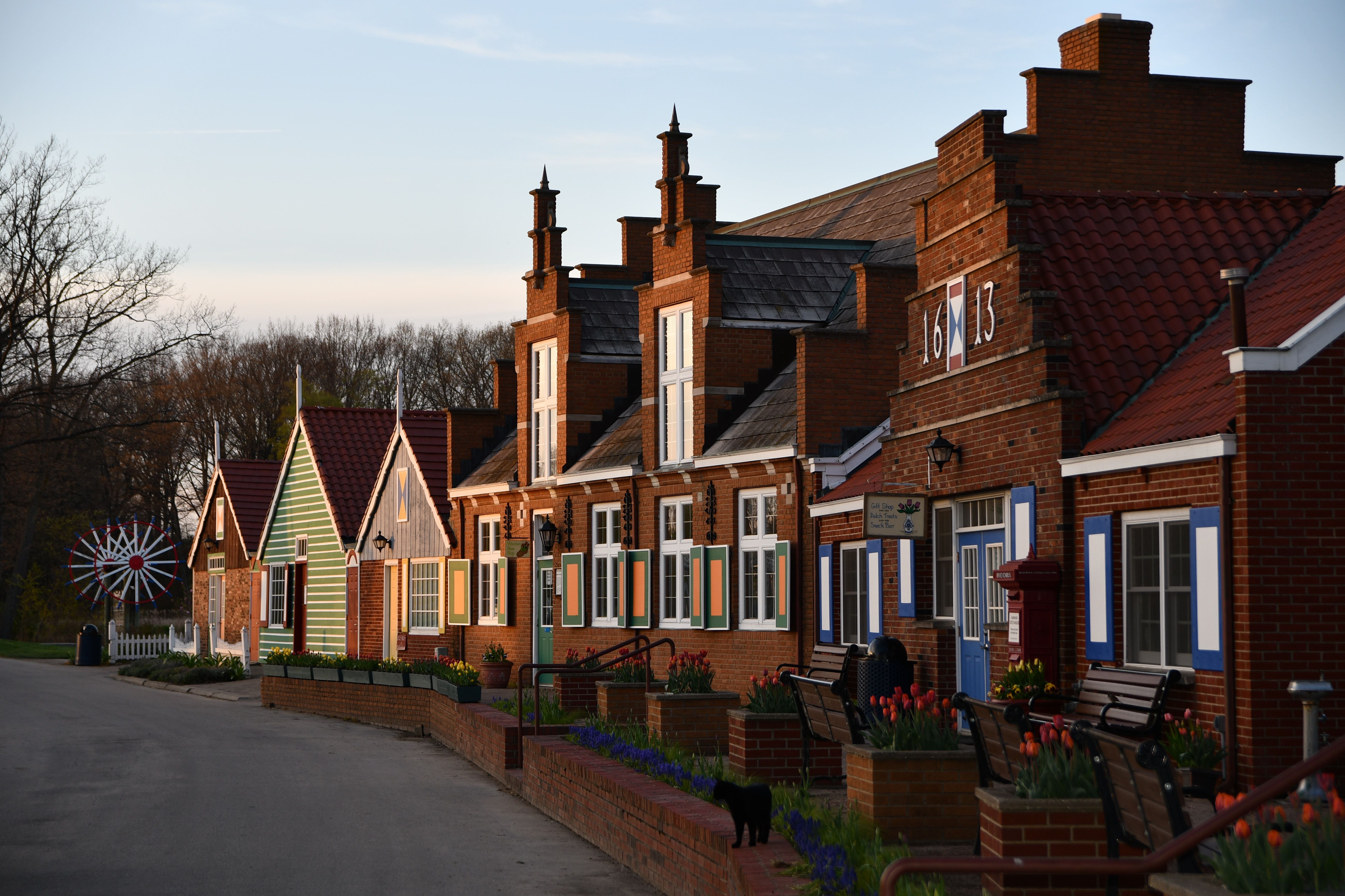 Zillow Holland Mi For Rent - 0a0lya8