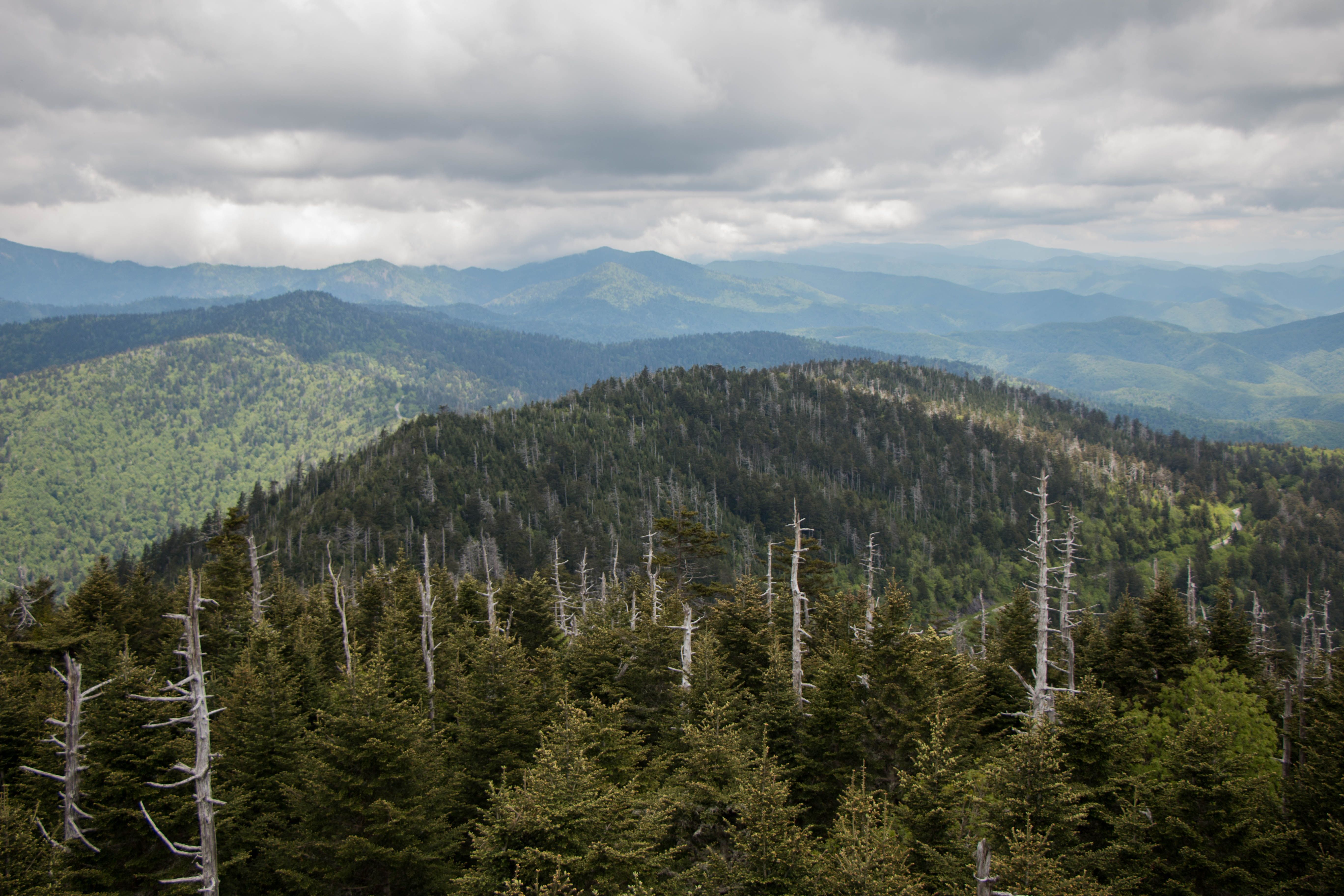 7 Mountain Hikes In East Coast National Parks