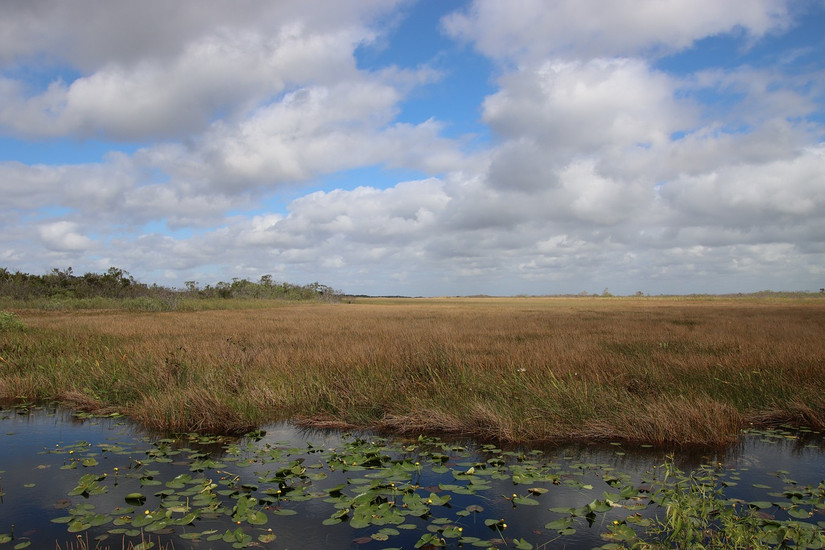 Experience The Best Of Spring In Florida: Culture, Nature, & Adventure