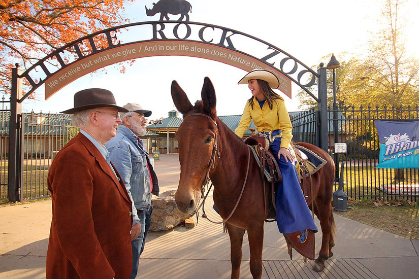 Little Rack Exploring The Capital City: The Ultimate Guide To Little Rock & Things ...