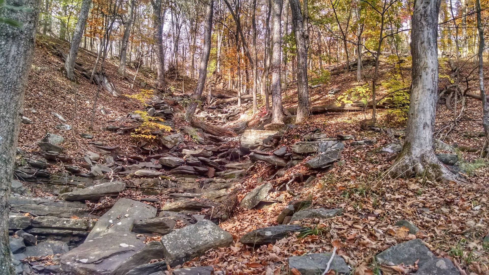 A dry stream in fall, Delaware Water Gap, Kittatinny Ridge
