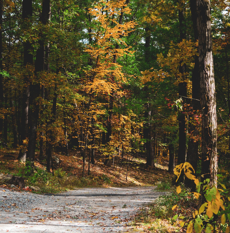 10 Must-Visit Stops For Your Boston To Vermont Fall Road Trip Adventure