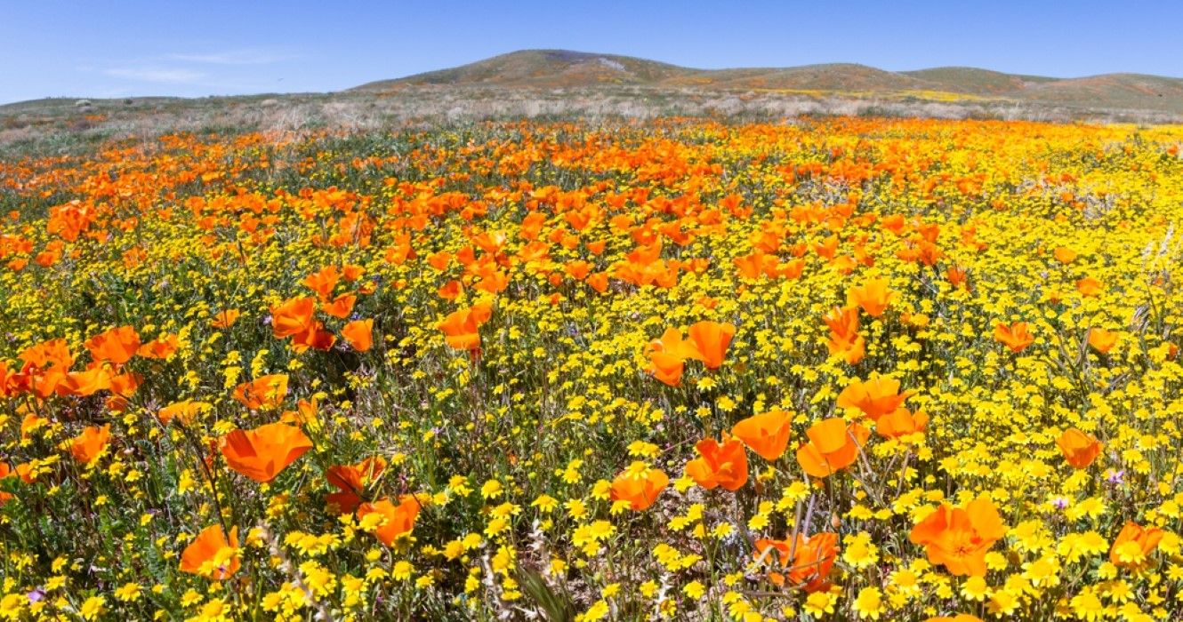 10 Best Nature Spots In California