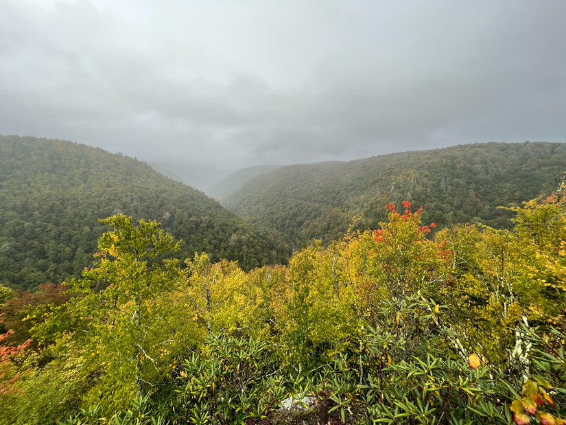 10 Most Beautiful Places To Visit In West Virginia During Spring