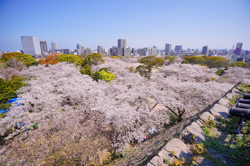 Spring In Japan: 10 Gorgeous Destinations To Visit During The Season Of ...