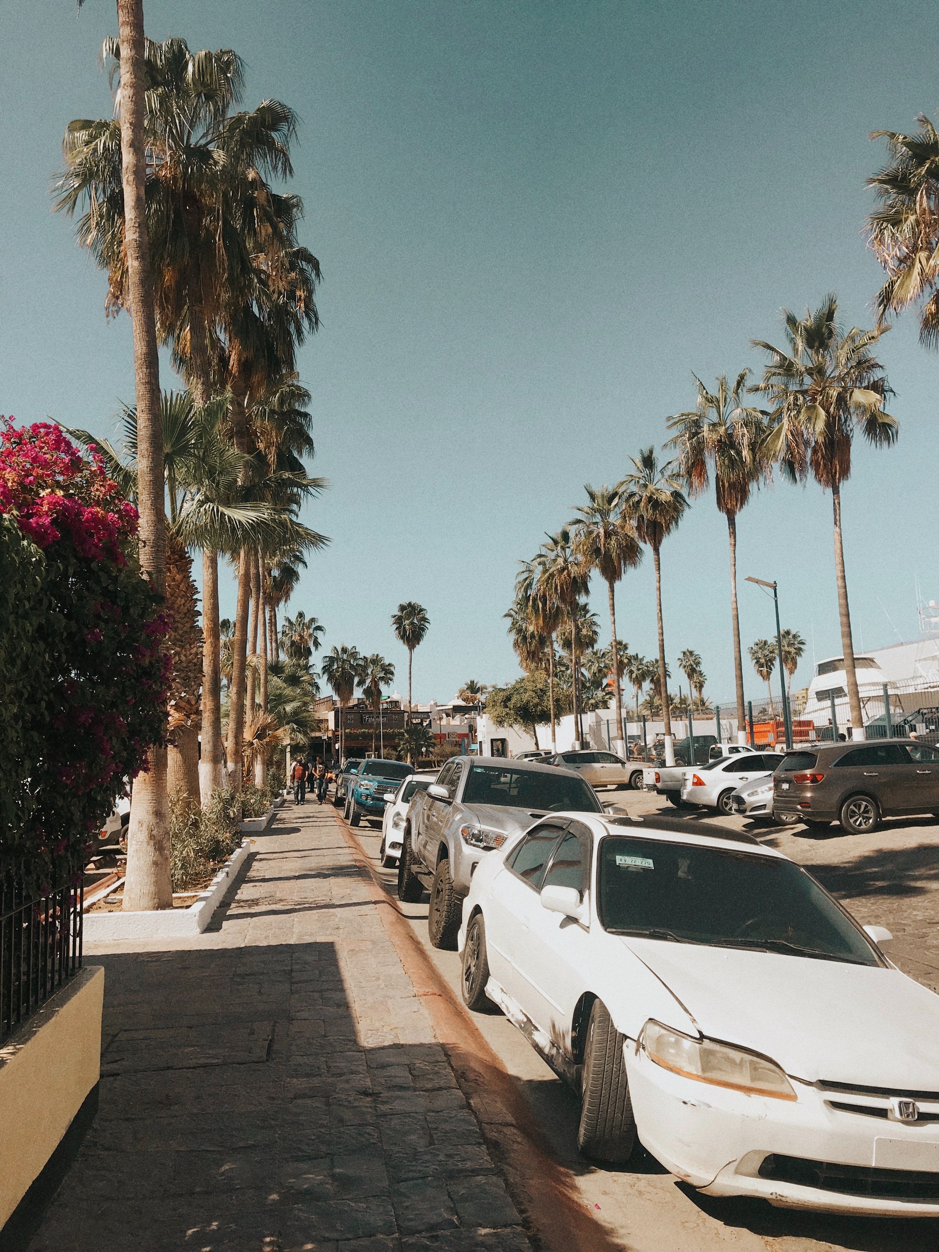 Car parked on the street of Cabo San Lucas Mexico 