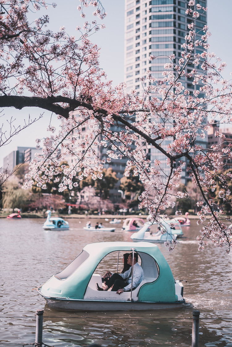 Spring In Japan: 10 Gorgeous Destinations To Visit During The Season Of ...