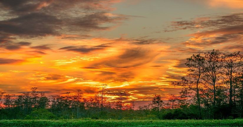 This Small Florida Ghost Town Is Hidden In The Everglades