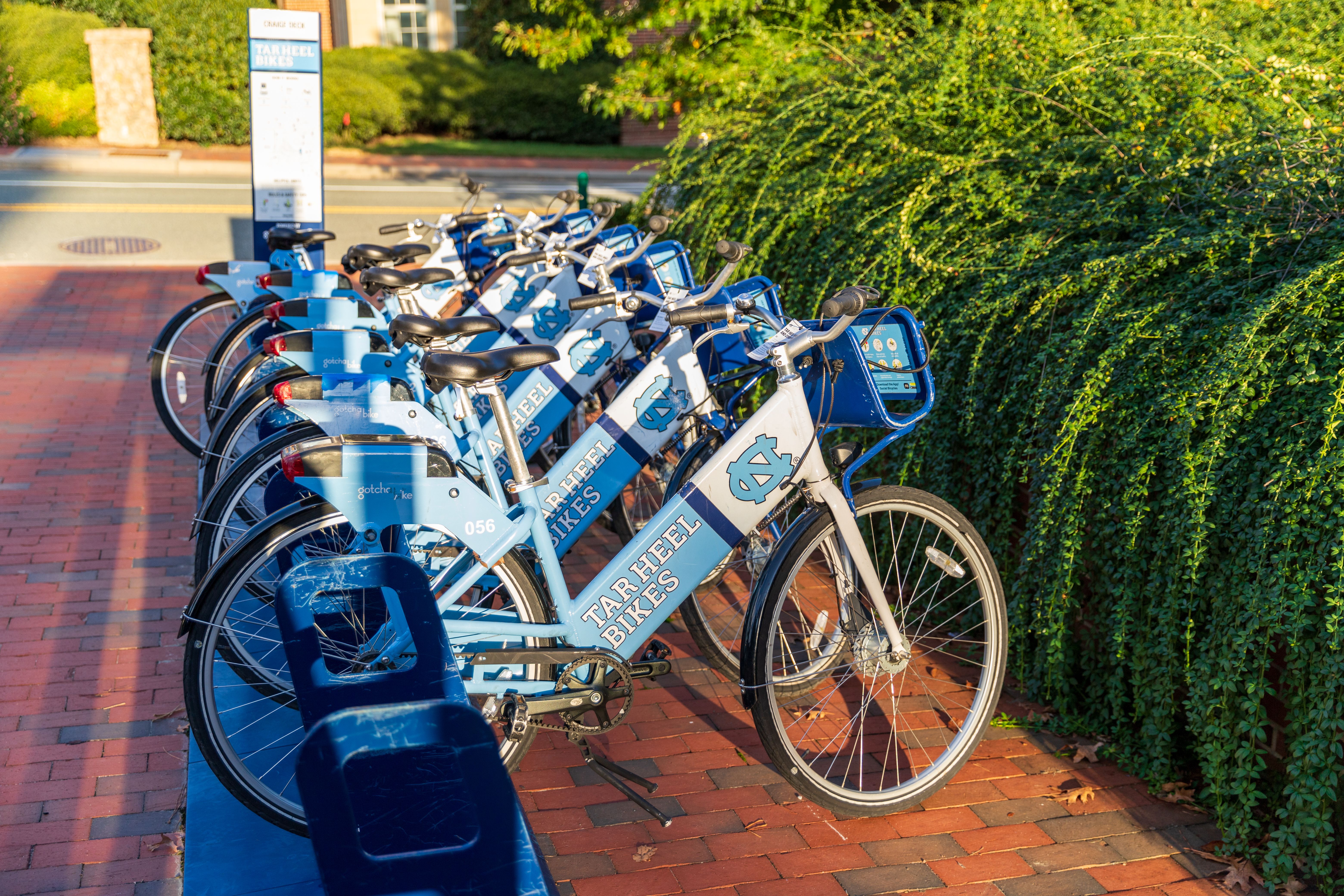 Line of bikes at University of North Carolina