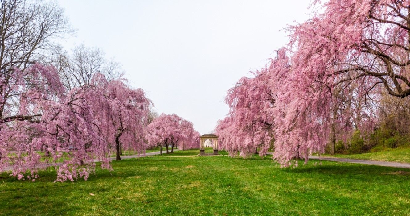 7 Weekend Trips For Under $250 From New York City