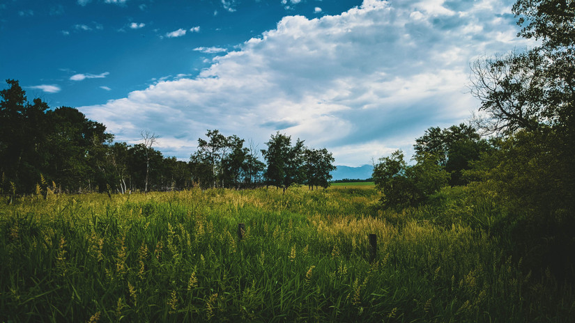 10 Best Places To Witness The Beauty Of Spring In Montana
