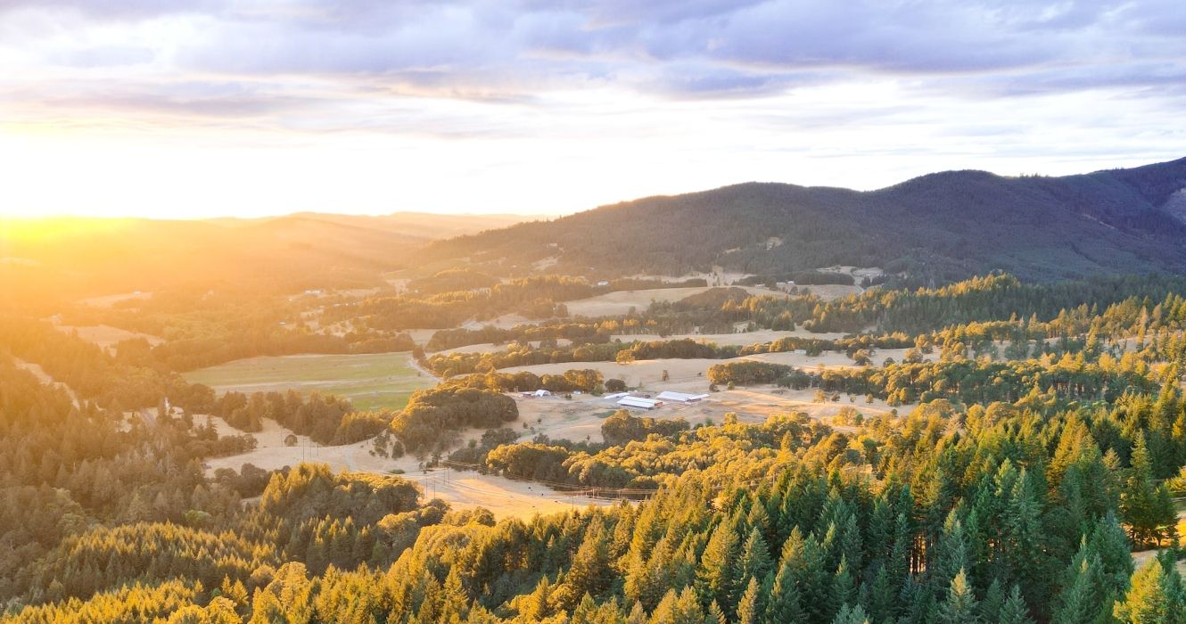 6 Things To Do In Corvallis: Complete Guide To Your Quiet Oregon Escape