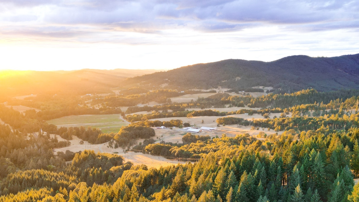 6 Things To Do In Corvallis: Complete Guide To Your Quiet Oregon ...