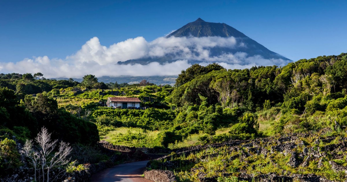 Mount Pico rising above the island