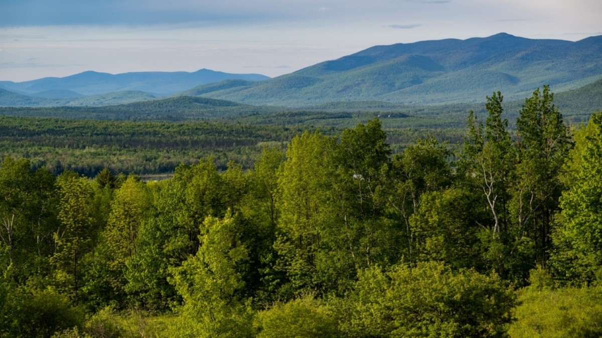 Spring Tooth Nh 10 Beautiful Spring Destinations In New Hampshire