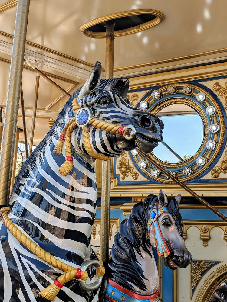 Texas Cavael Rides 10 Things To Do In Houston: Complete Guide To This Texas Hot Spot