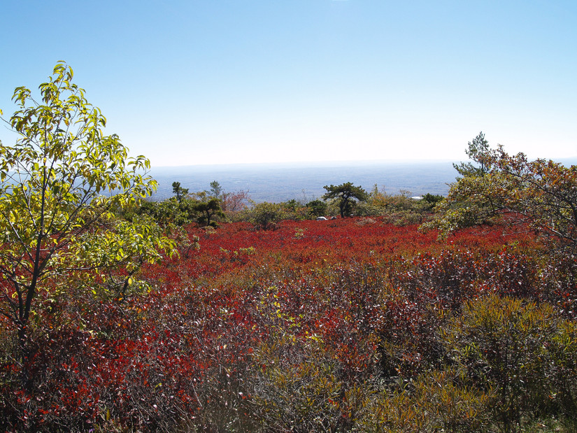 Upstate New York's Hidden Treasures: An Excursion To Explore Its Best ...