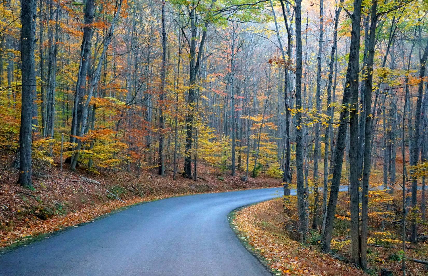 Colton Point State Park, Wellsboro, Pennsylvania