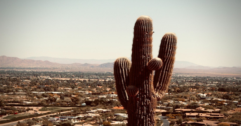 Spring In Phoenix Phoenix In March: How To Plan A Great Vacation To Arizona In The Spring
